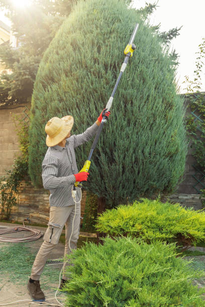 Best Sod Installation  in North Spearfish, SD